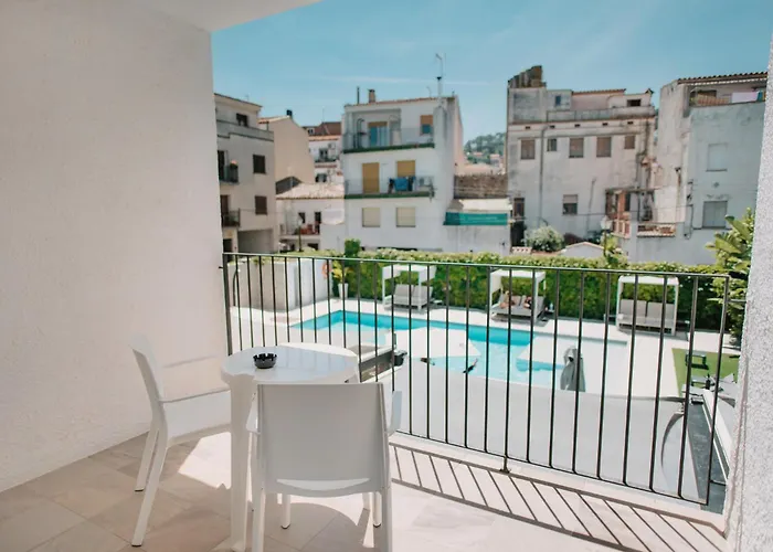 Windsor Tossa - Adults Only 16 또사데마르