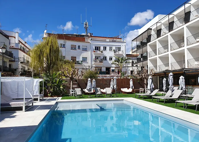 Windsor Tossa - Adults Only 16 또사데마르