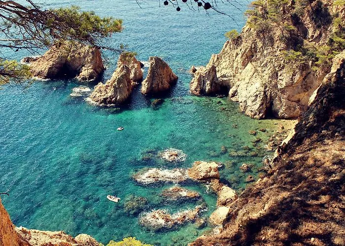 Windsor Tossa - Adults Only 16