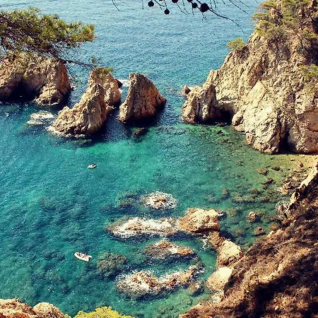 Windsor Tossa - Adults Only 16